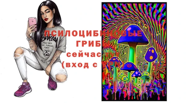 гидра Апатиты