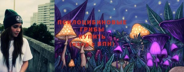 альфа пвп Медногорск