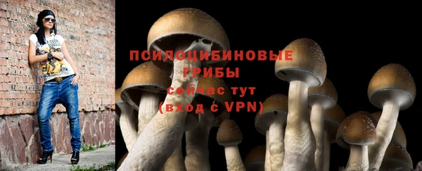 прущая мука Медвежьегорск