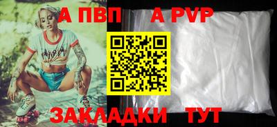ECSTASY Гай