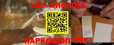 ECSTASY Гай