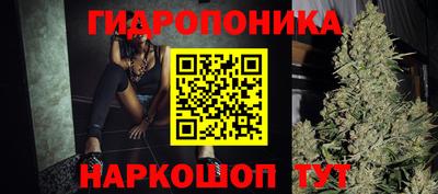 ECSTASY Гай