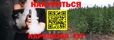 дживик Гатчина