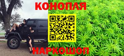 дживик Гатчина