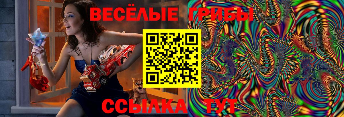 Псилоцибиновые грибы ЛСД Нягань